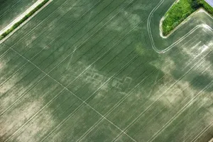 Prints of A Roman winged corridor villa crop mark, near Islip, Oxfordshire, 2019 Oxfordshire Prints: Roman Winged Corridor Villa Print