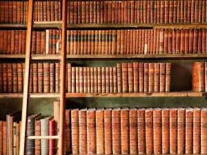 Prints of BRODSWORTH HALL, South Yorkshire. Interior view of the library. Detail of leather-bound books and ladder South Yorkshire Prints: Brodsworth Hall Library Print: Leather-bound books on a wooden ladder