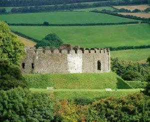 Castle Prints: Restormel Castle Print: South West View