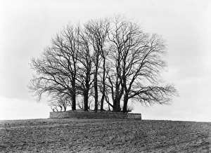 <b class=qtipBold><figcaption>Barrow CC73_00066</figcaption></b><br>BARROW NEAR BOURTON ON THE WATER, Gloucestershire. A tree-covered round barrow sitting on a hill, surrounded by a dry stone wall. Photographed by Henry Taunt (active 1860-1922).<br><em>© Historic England</em> Barrow CC73_00066