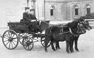 Battenberg princes at Osborne House D880027a Battenberg princes at Osborne House D880027a