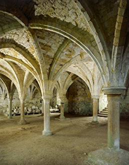 <b class=qtipBold><figcaption>Battle Abbey J850109</figcaption></b><br>BATTLE ABBEY, East Sussex. Interior view of the vaulted roof of the Monks Common Room.<br><em>© Historic England</em> Battle Abbey J850109