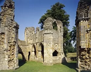 Images Dated 6th March 2011: Bayham Abbey J910276
