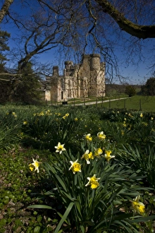 Belsay Castle N090297 Belsay Castle N090297