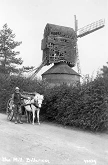 Related Images Collection: Billericay Windmill, Essex a78_01556