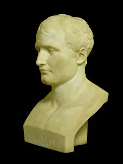 Images Dated 12th November 2009: Canova - Bust of Napoleon N080945