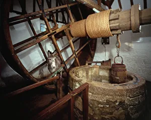 <b class=qtipBold><figcaption>Carisbrooke Castle J840102</figcaption></b><br>CARISBROOKE CASTLE, Isle of Wight. Well house treadwheel, donkey and winding mechanism. Built in 1587.<br><em>© Historic England</em> Carisbrooke Castle J840102