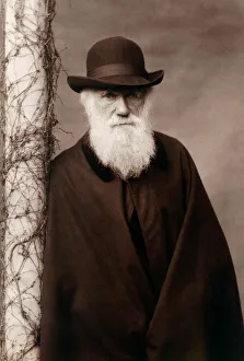 <b class=qtipBold><figcaption>Charles Darwin K970214</figcaption></b><br>DOWN HOUSE, Kent. Portrait of Charles Darwin c1880.<br><em>© Historic England</em> Charles Darwin K970214