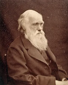 <b class=qtipBold><figcaption>Charles Darwin K970215</figcaption></b><br>DOWN HOUSE, Kent. Photograph of Charles Darwin.<br><em>© Historic England</em> Charles Darwin K970215