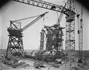 Cranes JLP01_08_096485 Cranes JLP01_08_096485