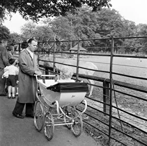 The 1960s Gallery: Dad with pram AA066358