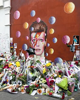 Related Images Collection: David Bowie mural, Brixton DP177779