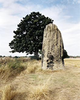 North Yorkshire Gallery: 