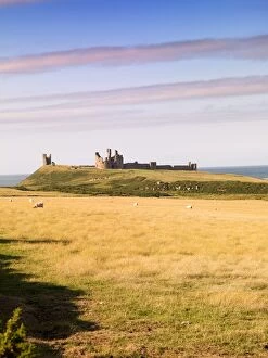 Images Dated 10th May 2007: Dunstanburgh Castle N060222