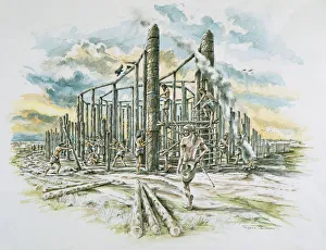 Timber Gallery: Durrington Walls J930177