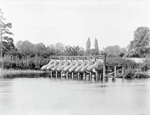 <b class=qtipBold><figcaption>Eel traps CC76_00240</figcaption></b><br>BRAY, Berkshire. A small weir with a channel made from branches with nine eel bucks attached. These bucks, made from woven willow, were lowered into the river during a particular season where eels would be caught in the basket. Photographed in 1885 by Henry Taunt.<br><em>© Historic England</em> Eel traps CC76_00240