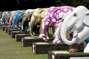<b class=qtipBold><figcaption>Elephant Parade DP094957</figcaption></b><br>Royal Hospital, Chelsea, London. The Elephant Parade was an open air art exhibition of decorated elephant statues. Contributed by famous and upcoming artists they were for sale to promote the conservation of Asian elephants. Photographed in June 2010. Famous and upcoming artists contributed statues to the cause of the conservation of Asian elephants and the public awareness of their life threatening situation. In the past 100 years Asian elephant populations had plummeted from 250, 000 to 25, 000.<br><em>© Historic England Archive</em> Elephant Parade DP094957