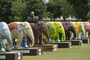 <b class=qtipBold><figcaption>Elephant Parade DP094995</figcaption></b><br>Royal Hospital, Chelsea, London. The Elephant Parade was an open air art exhibition of decorated elephant statues. Contributed by famous and upcoming artists they were for sale to promote the conservation of Asian elephants. Photographed in June 2010.<br><em>© Historic England</em> Elephant Parade DP094995