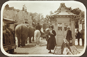 <b class=qtipBold><figcaption>Elephant parade RJW01_01_089</figcaption></b><br>Wembley Park, Greater London. The amusement park at the British Empire Exhibition, showing two women watching as elephants pass by. A handwritten caption alongside this image in the album reads: 'African elephants having exercise in the park.' Album print photographed by Robert J Wigglesworth (1924-5). The Historic England Archive holds two albums of his pictorial reminders of the event.<br><em>© Historic England</em> Elephant parade RJW01_01_089
