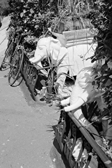 <b class=qtipBold><figcaption>Elephant planters MF001793_11</figcaption></b><br>Highgate, London. Two ornamental elephant planters in a Highgate garden, London. Photographed in 1995 by John Gay.<br><em>© Historic England</em> Elephant planters MF001793_11