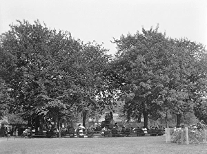 <b class=qtipBold><figcaption>Elephant rides OP03630</figcaption></b><br>Zoological Gardens, Regents Park, London. Crowds watching elephant rides. Photographed by Rupert Potter in 1906.<br><em>© Historic England</em> Elephant rides OP03630