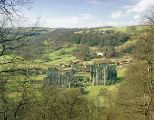 Rievaulx Abbey Print, North Yorkshire View from Hillside