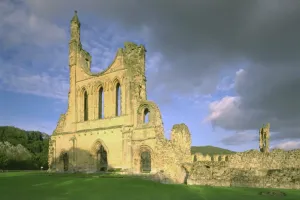 Monuments And Memorial Prints: Byland Abbey Print: West Front from South West
