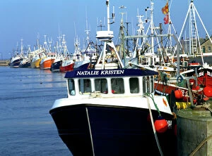 Images Dated 16th March 2007: Fishing boats in Amble Harbour K011713