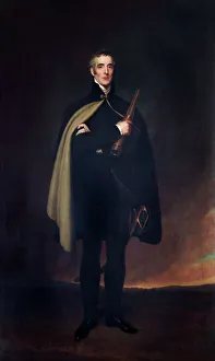 Images Dated 18th August 2011: Gambardella - The Duke of Wellington N070504