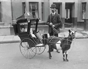 Childhood Gallery: A goat-drawn carriage SAM01 / 02 / 0239