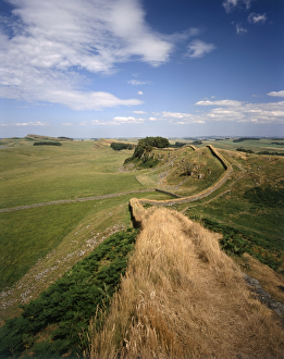 <b class=qtipBold><figcaption>Hadrian's Wall J060259</figcaption></b><br>HADRIAN'S WALL, Northumberland. Hadrian's Wall winding over the rural landscape. hadrian<br><em>© Historic England</em> Hadrian's Wall J060259