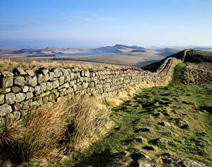 Stone Gallery: Hadrians Wall J080005