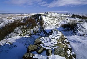 Images Dated 16th February 2010: Hadrians Wall snow scene K060468