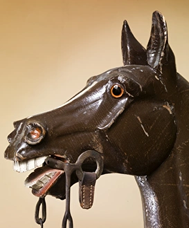 <b class=qtipBold><figcaption>Haydocks exercise horse N080068</figcaption></b><br>BRODSWORTH HALL, South Yorkshire. Haydocks exercise horse, close up of horse head against a light background.<br><em>© Historic England</em> Haydocks exercise horse N080068