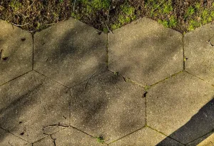 Hexagonal Paving Print DP251002