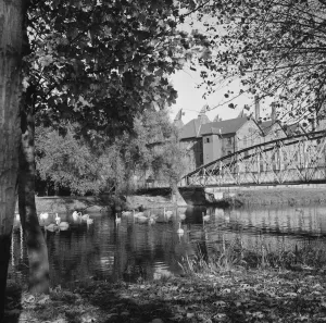 Prints of Swans on the River Trent beside Andresey Bridge and the Malthouses of the Bass Old Brewery, Burton upon Trent, Staffordshire. Date range: 1960-1974. Photographed by Eileen Deste Staffordshire Prints: Print of Andresey Bridge and Bass Old Brewery with Swans on the River Trent