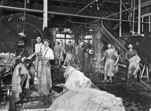 Prints of DICKENS BROTHERS, Northampton. Photograph of interior of leather works c.1929. Preparing leather for the shoe and boot industry Northamptonshire Prints: Print of Dickens Brothers leather works interior, Northampton