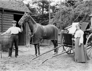 Prints of The man in this picture is probably the groom, while the woman with the gun probably the lady of the house. The picture may be located in Ilmer, White Leaf or Monks Risborough, Buckinghamshire Buckinghamshire Prints: Horse and Trap Print, Buckinghamshire Scene