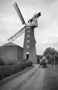 Prints of SHEPHERDS MILL, Upwell, Cambridgeshire. This brick tower mill was built in 1829 and was five storeys high with and ogee cap Cambridgeshire Prints: Print of Shepherds Mill in Upwell, Cambridgeshire