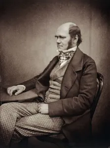 Charles Darwin Sepia Toned Print