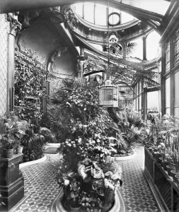 The Victorian Age Prints: Print of a Conservatory Interior in Courtlands, Clapham Park
