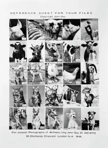 Print of Animal Montage, November 1970