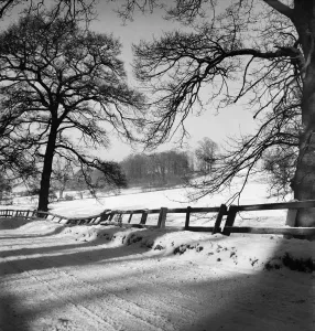 Buckinghamshire Prints: Winter landscape print from Buckinghamshire