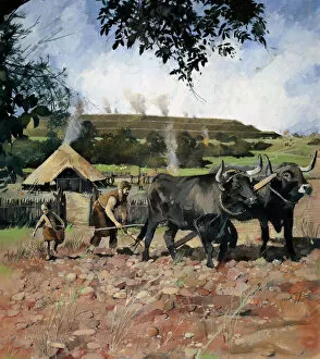Related Images Collection: Iron Age farming N080555