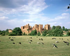 <b class=qtipBold><figcaption>Kenilworth Castle J900445</figcaption></b><br>KENILWORTH CASTLE, Warwickshire. A view from the south with cattle / cows grazing in the foreground.<br><em>© Historic England</em> Kenilworth Castle J900445