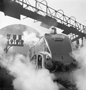 Edinburgh Collection: Kingfisher steam train, Flying Scotsman service a062841