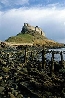 Fortification Collection: Lindisfarne Castle K880004