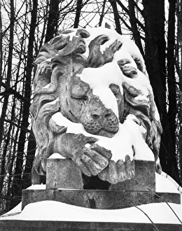 Historic images/john gay collection 1945 1990/lion statue highgate cemetery op04501