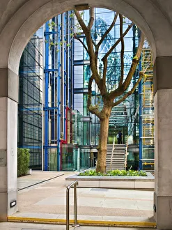 London tree DP131915