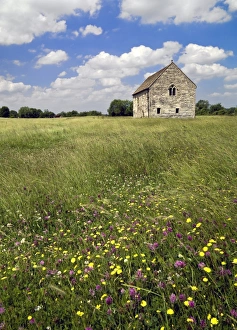 <b class=qtipBold><figcaption>Meare Fish House N090126</figcaption></b><br>MEARE FISH HOUSE, Somerset. Exterior view of the Meare Fish House, the only surviving monastic fishery building in England. Wild flowers in bloom in the foreground.<br><em>© Historic England</em> Meare Fish House N090126